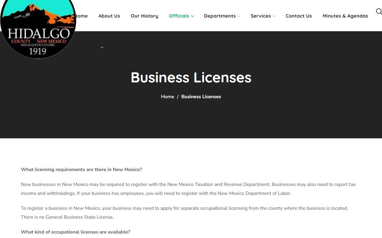 Hidalgo County Clerk of Court records business license services