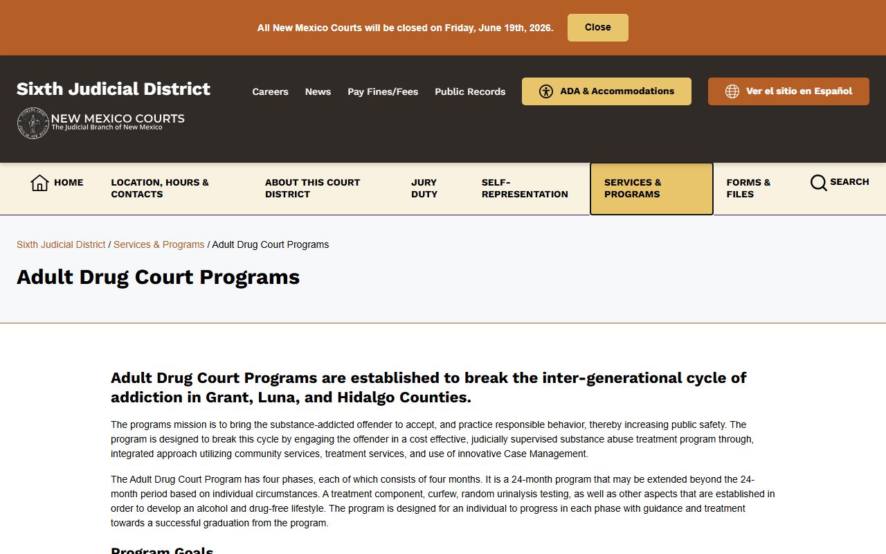 Hidalgo County court dockets Sixth District Adult Drug Court program