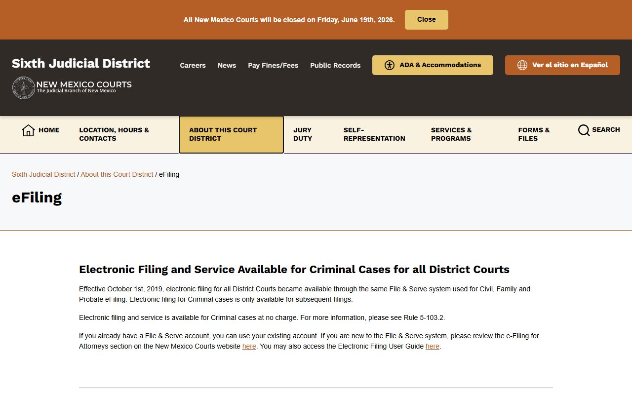 Hidalgo County criminal court records Sixth District e-filing source