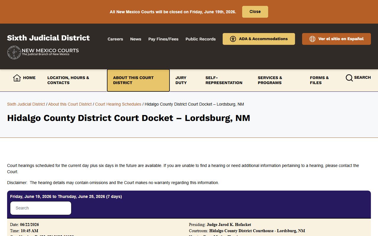 Hidalgo County District Court docket page