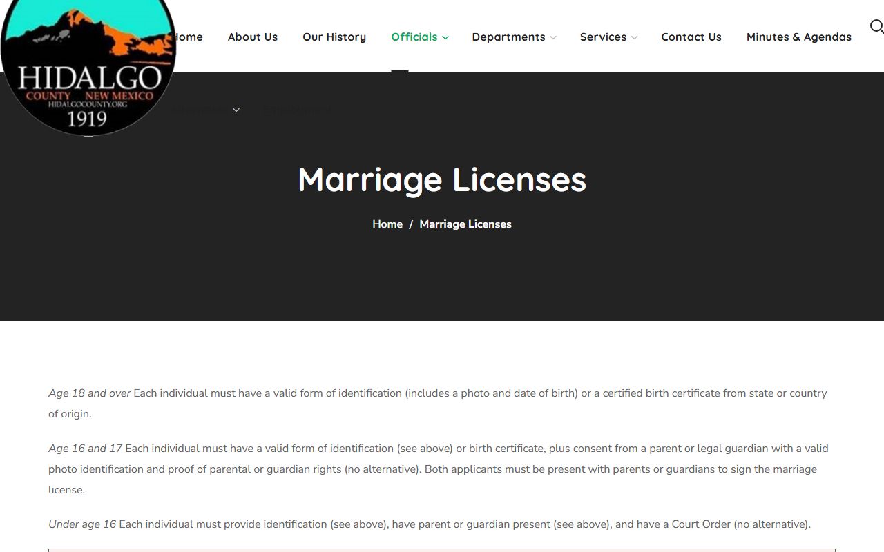 Hidalgo County marriage and divorce records marriage license requirements